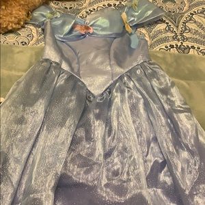 Disney Cinderella dress  size Small